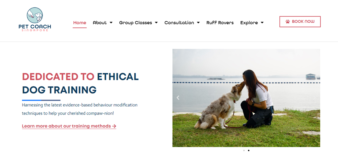 Image showing a dog training company - pet coach SG
