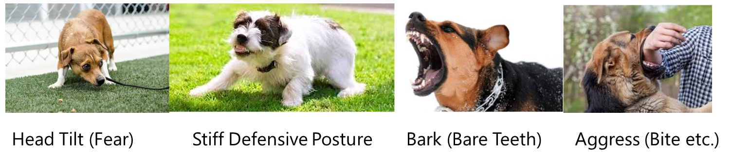Image showing the different images of dog exhibiting diferrent levels of resource guarding body language