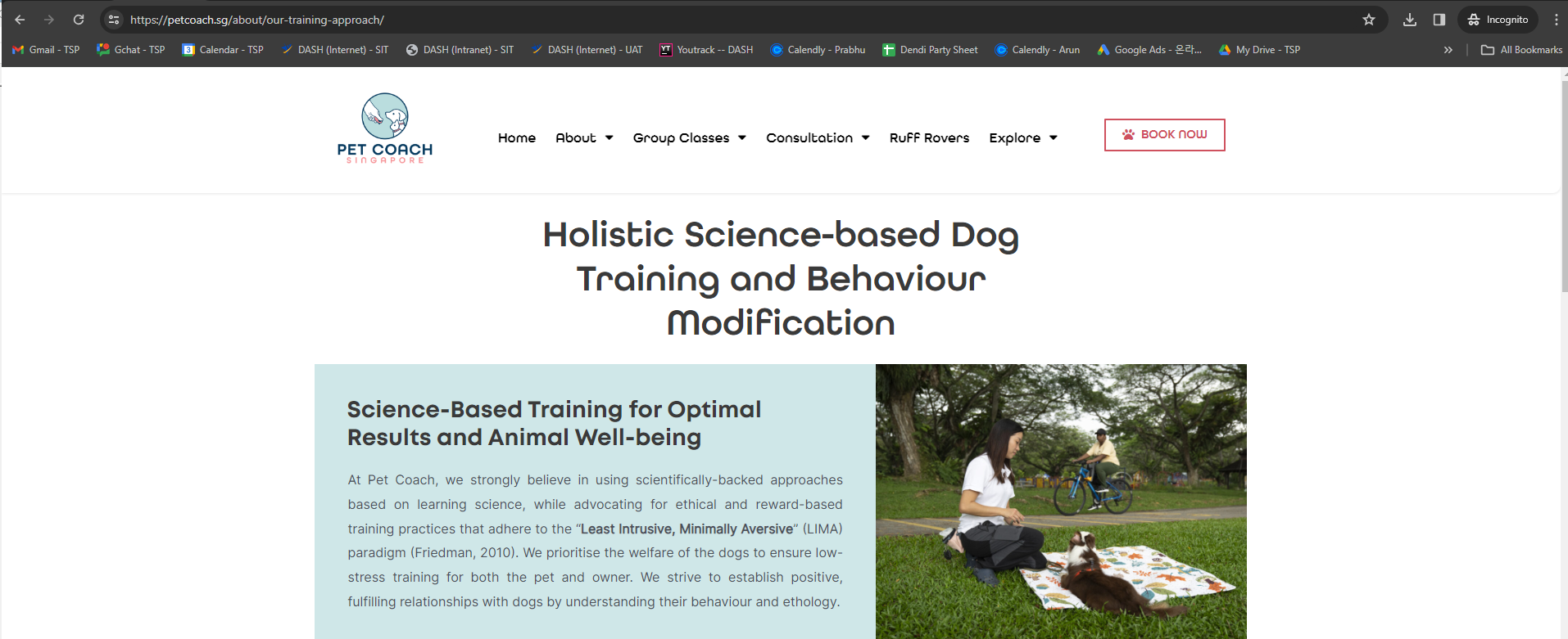Image of pet coach SG training approach, for dog owners whom are interested in training dogs
