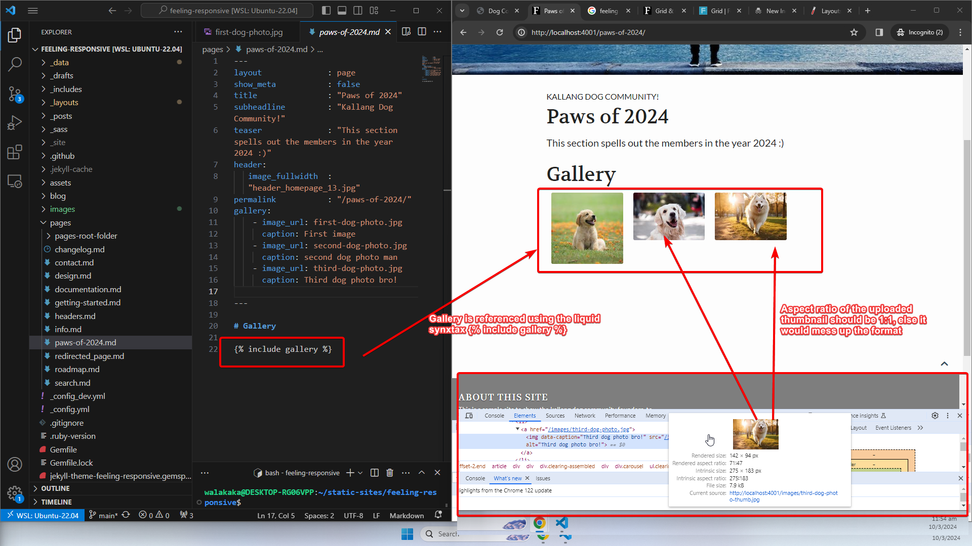 image showing how gallery is referenced in the article using the liquid syntax