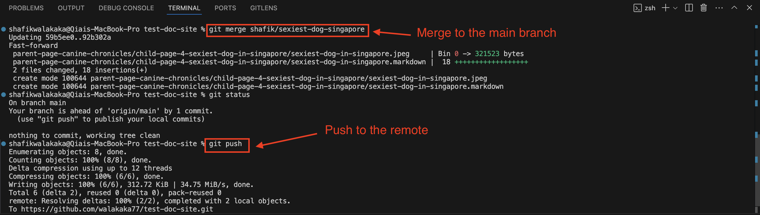 Merging my feature branch into main branch and pushing the changes into the remote repo