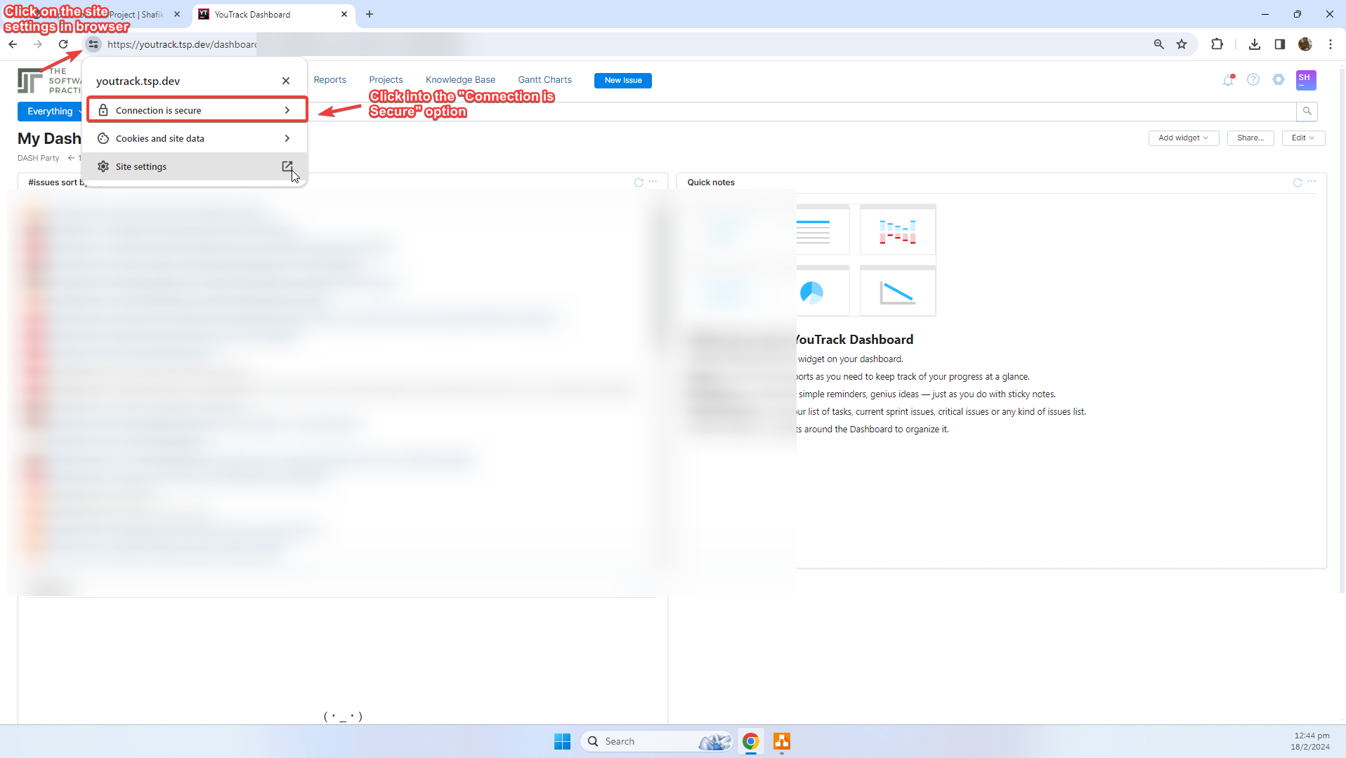 image showing browser settings showing that connection is secure