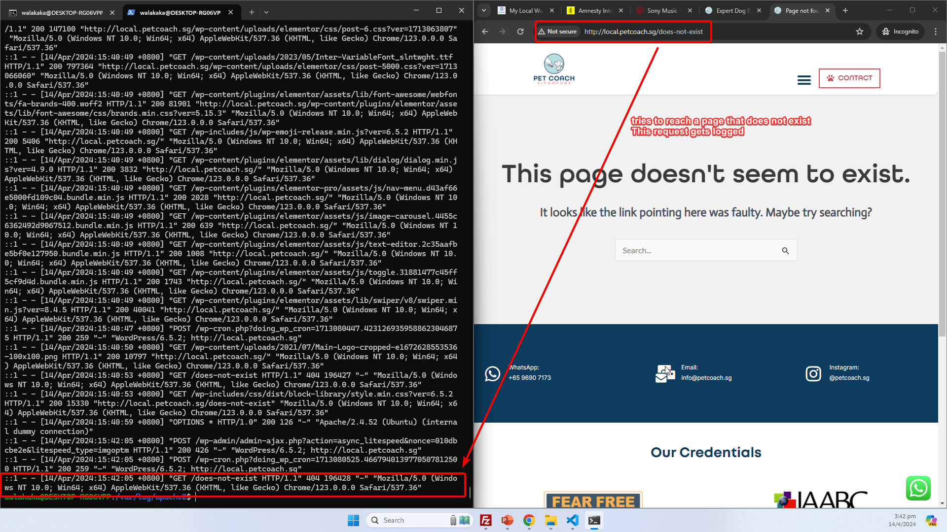 image showing example of user accessing 404 page, and logs being displayed in real-time
