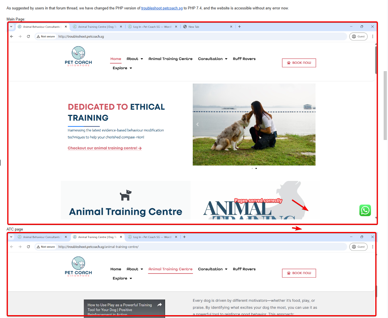 page loaded correctly after php update