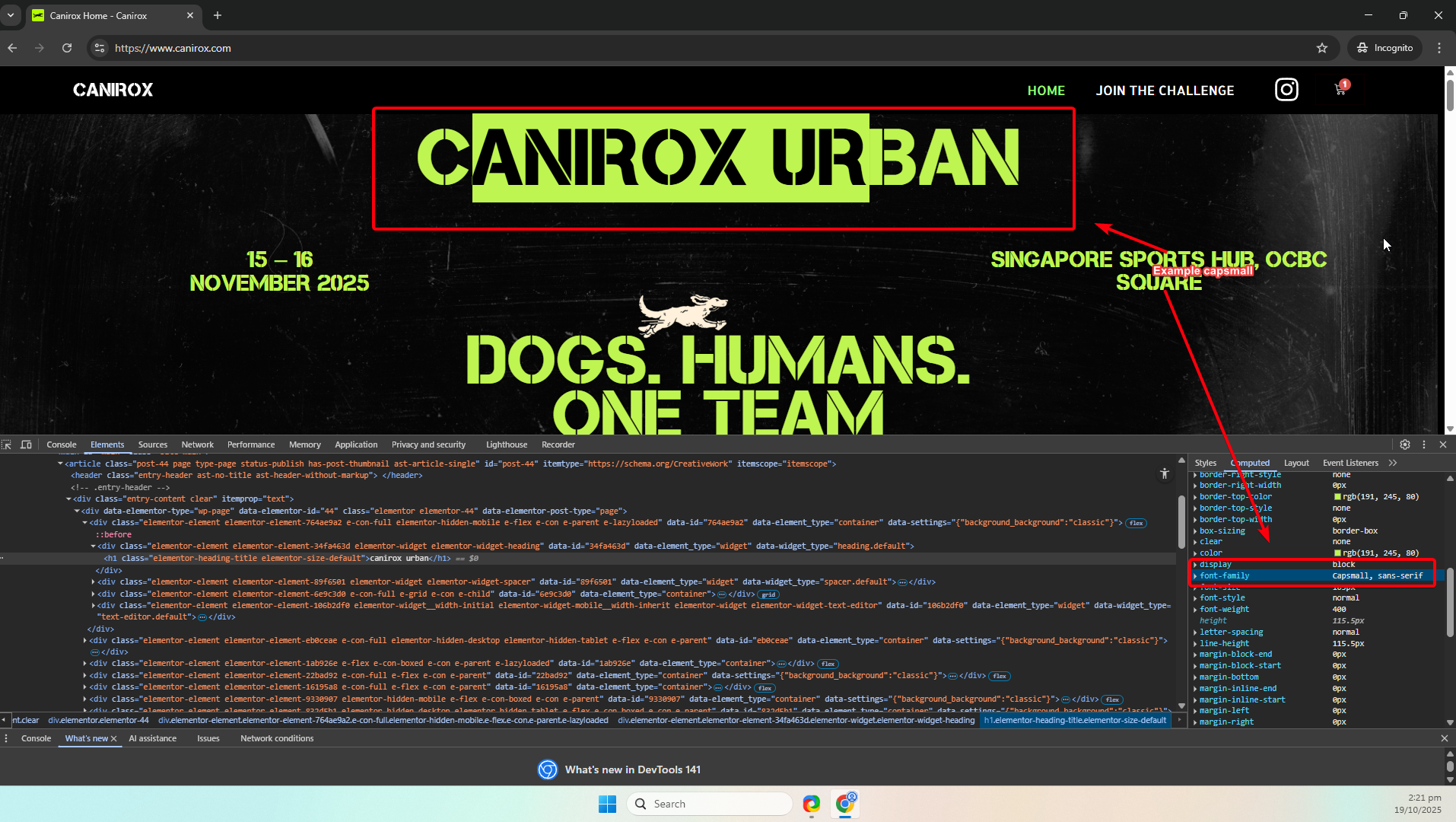 alt text