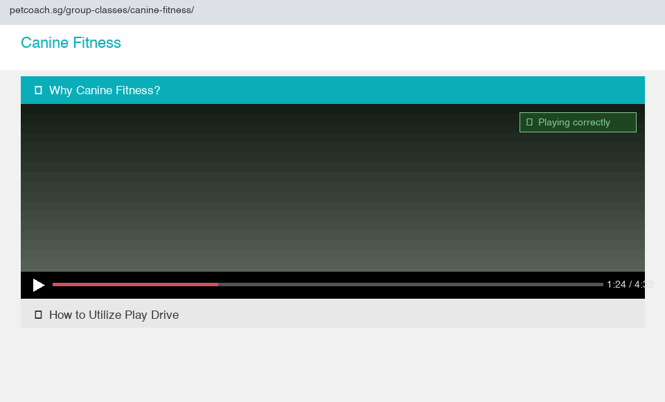 YouTube video working after fix