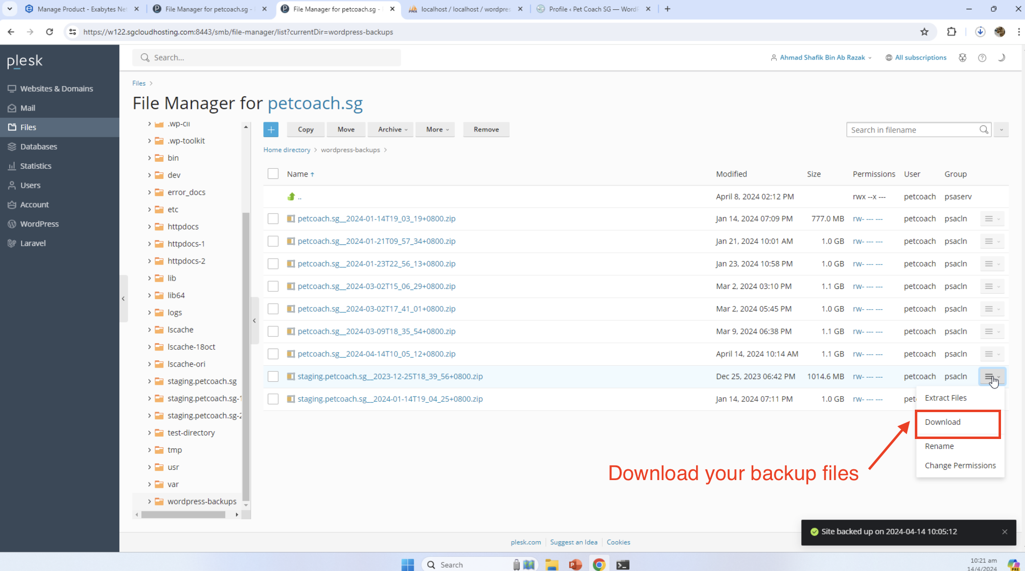 image of downloading the backup files from Plesk console