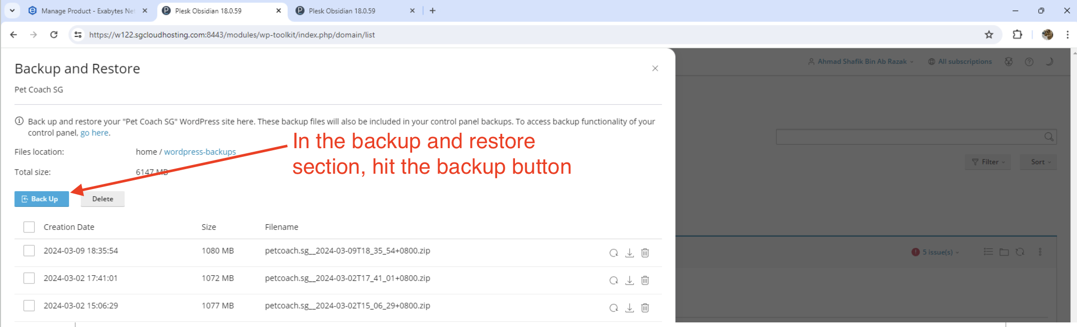 image of the Plesk backup and restore section