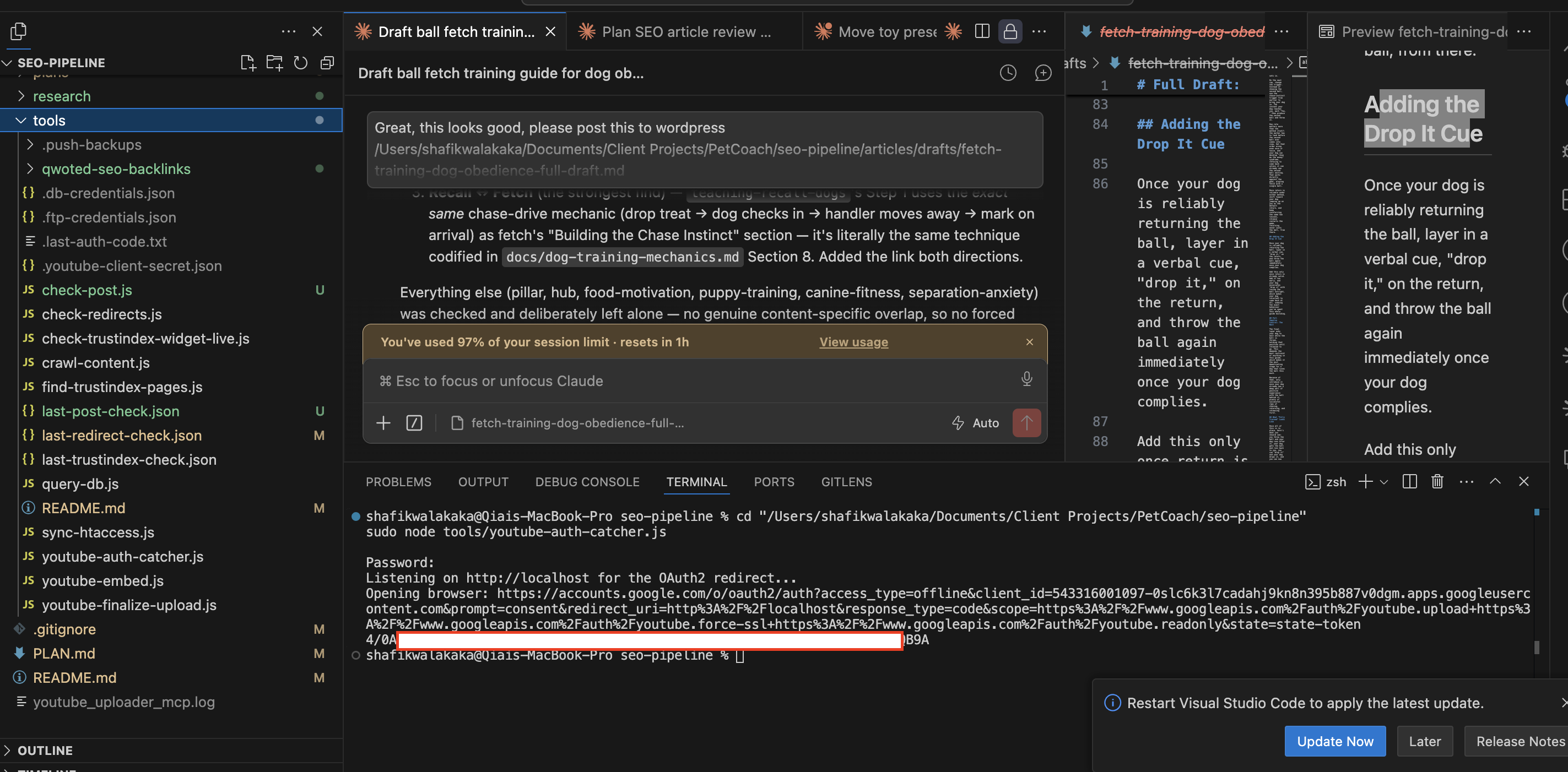 Terminal running the auth catcher, which opens the Google consent URL automatically