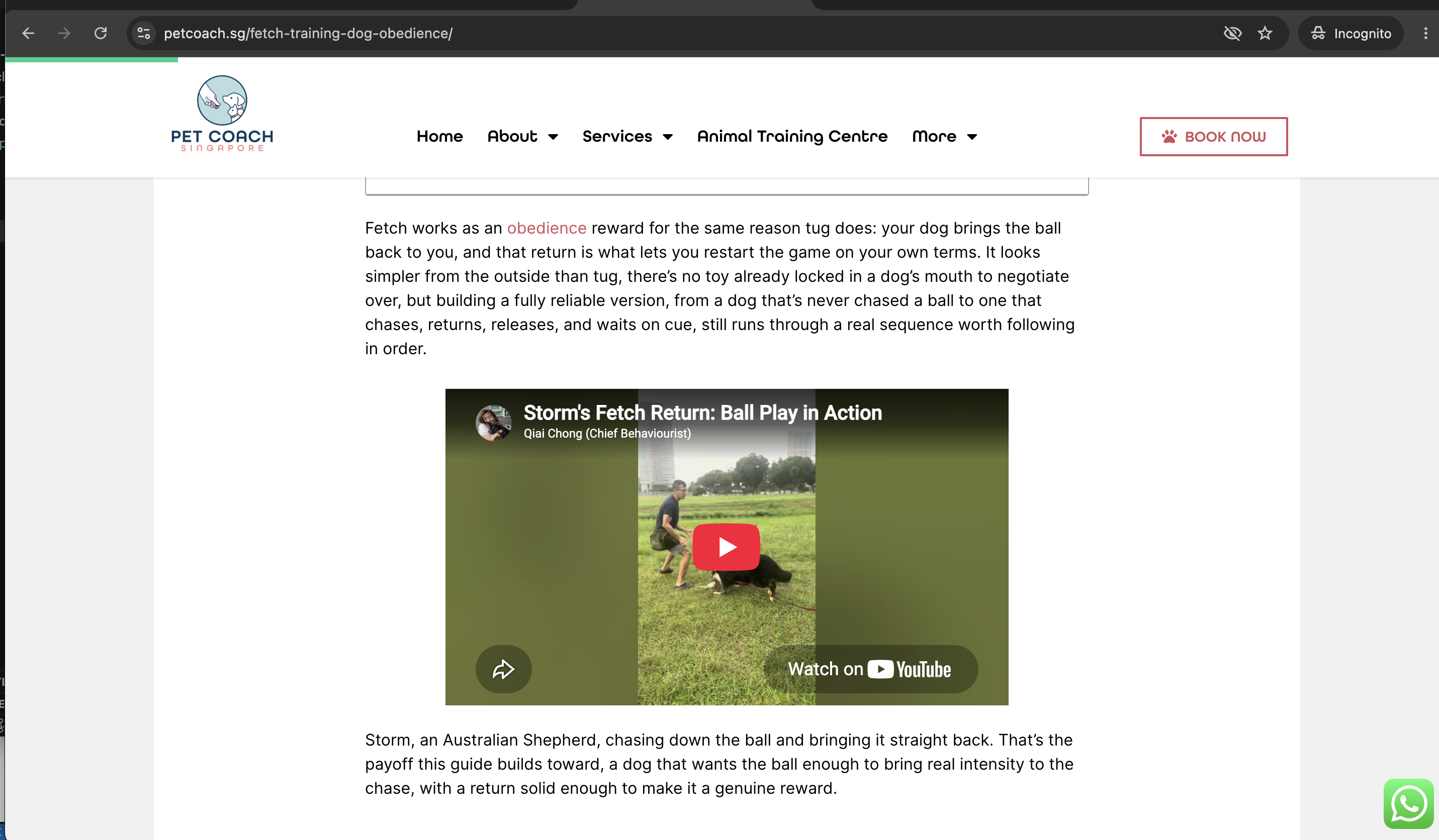 The finished post live on petcoach.sg, video embed rendering and playing correctly
