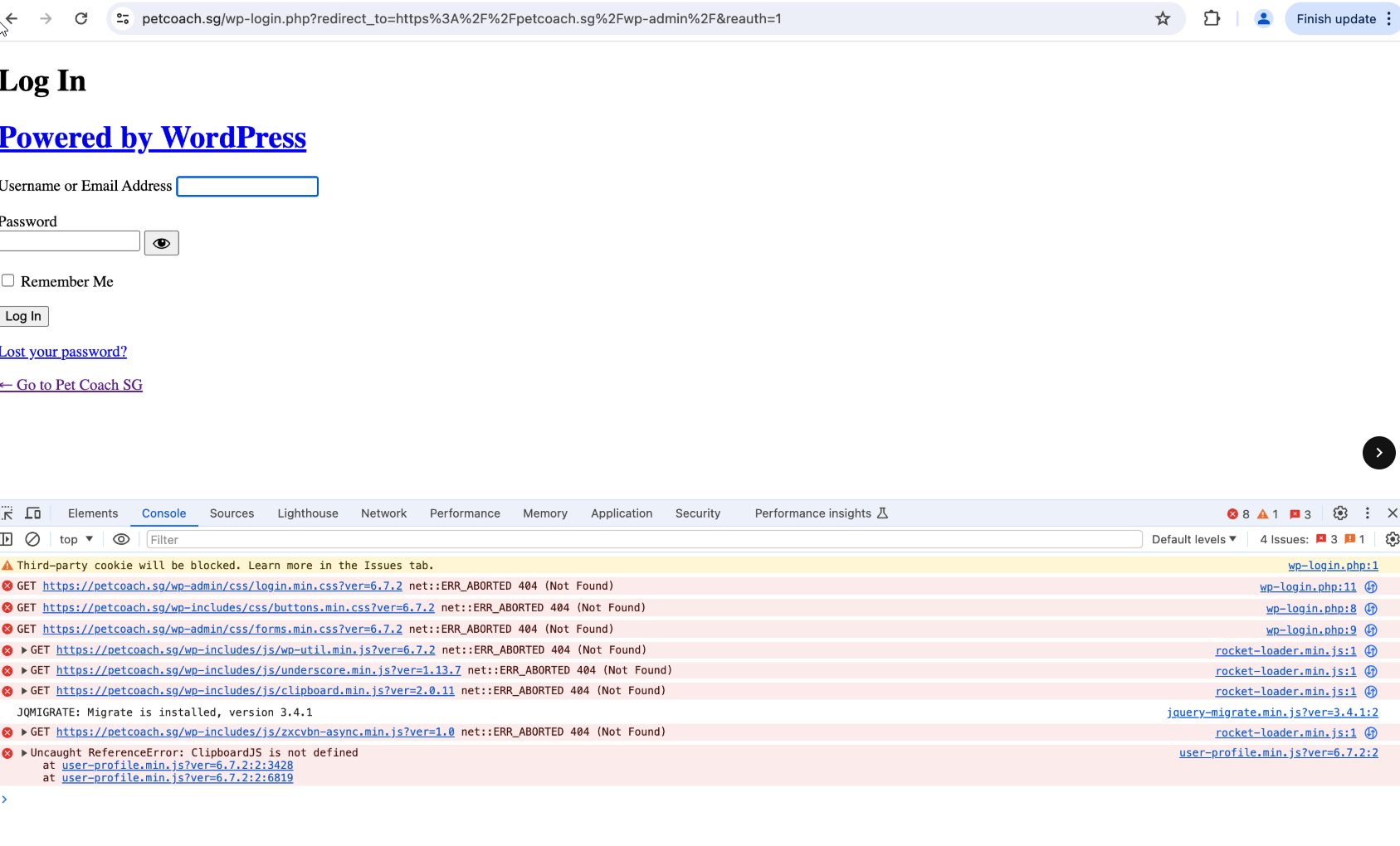 Assets returning 404 due to hosting issues
