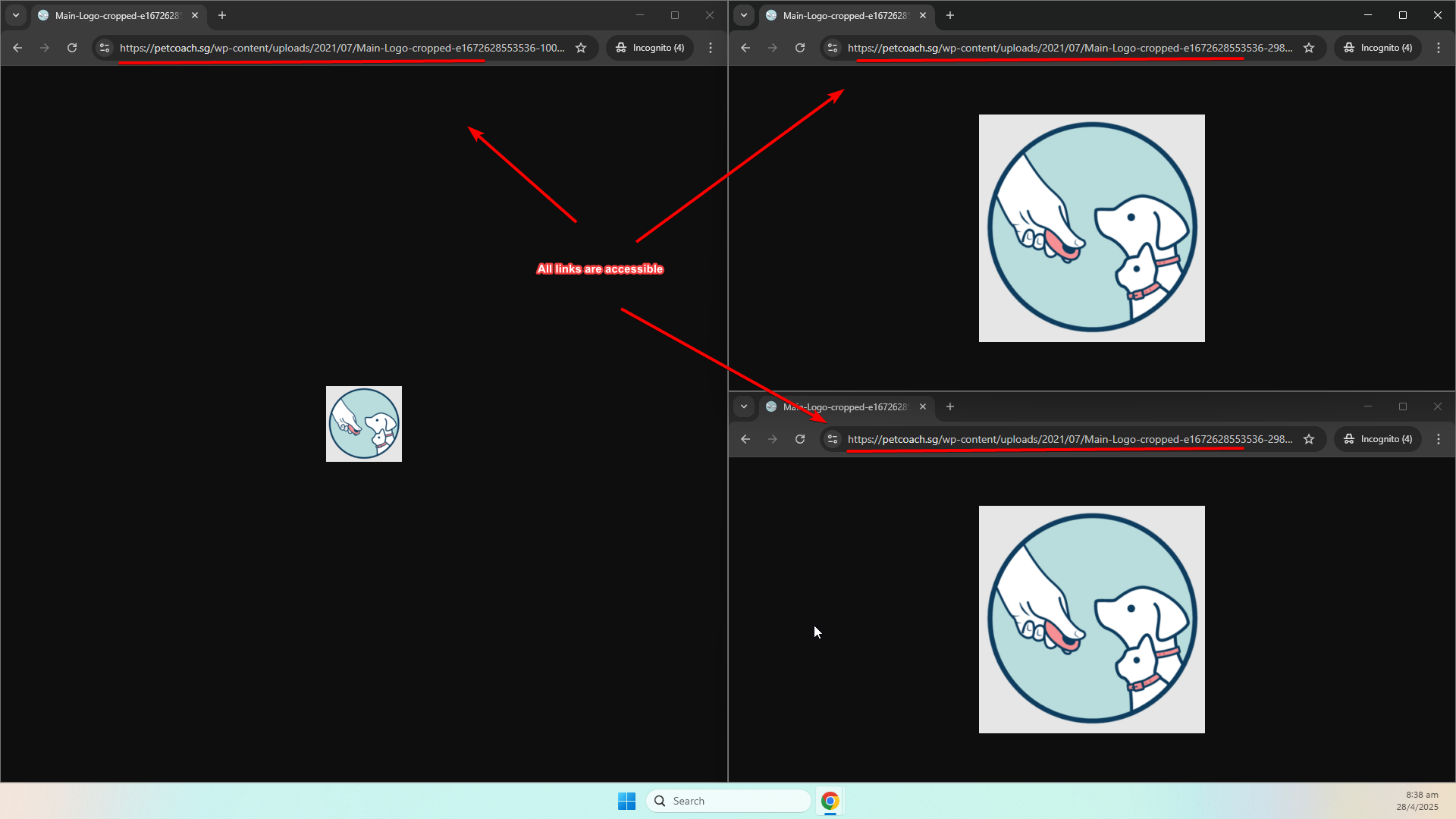 All favicon links are accessible