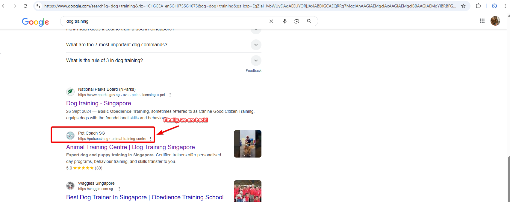 Favicon is again updated by google