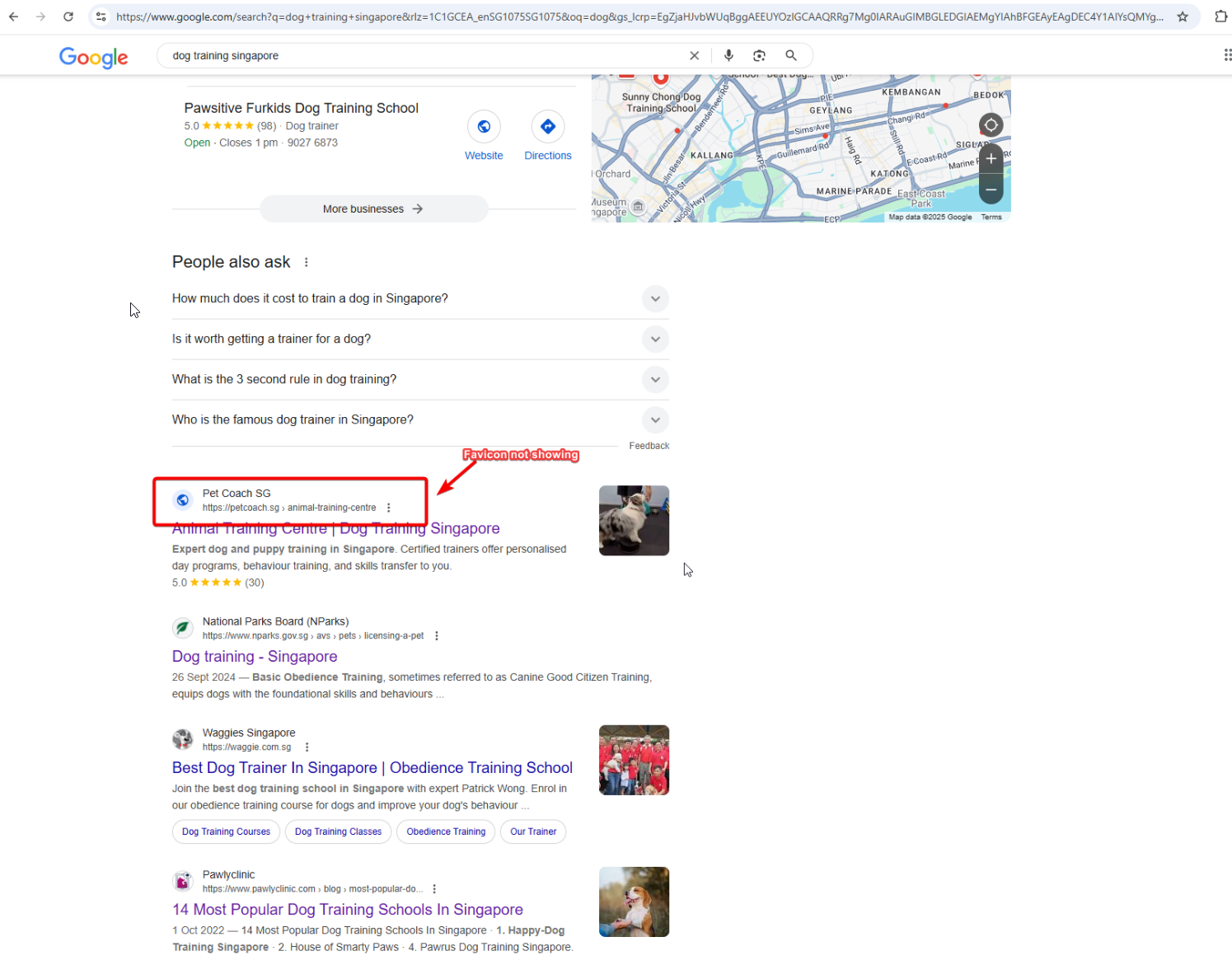 Missing Favicon for Pet Coach SG in SERP