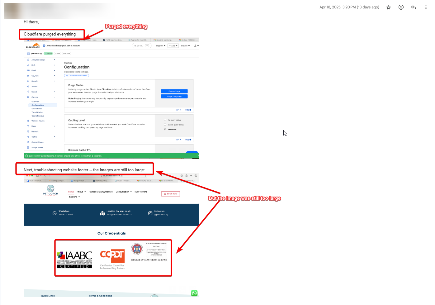 purged cloudflare but image still large