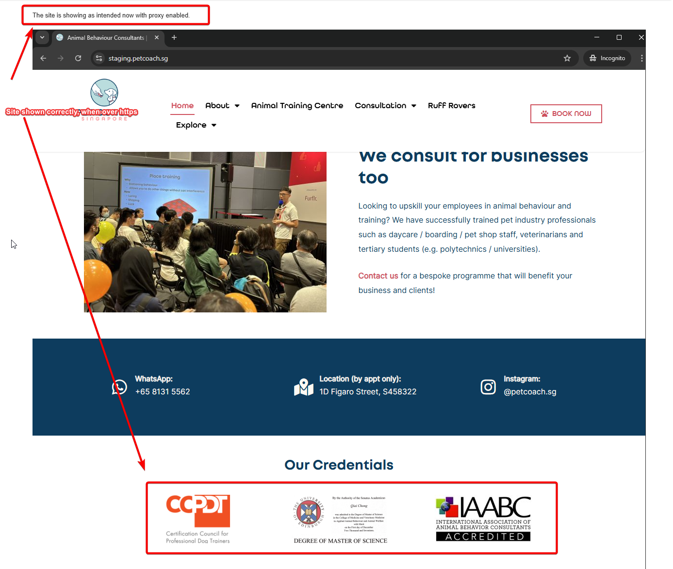 site shown correctly when loading over https