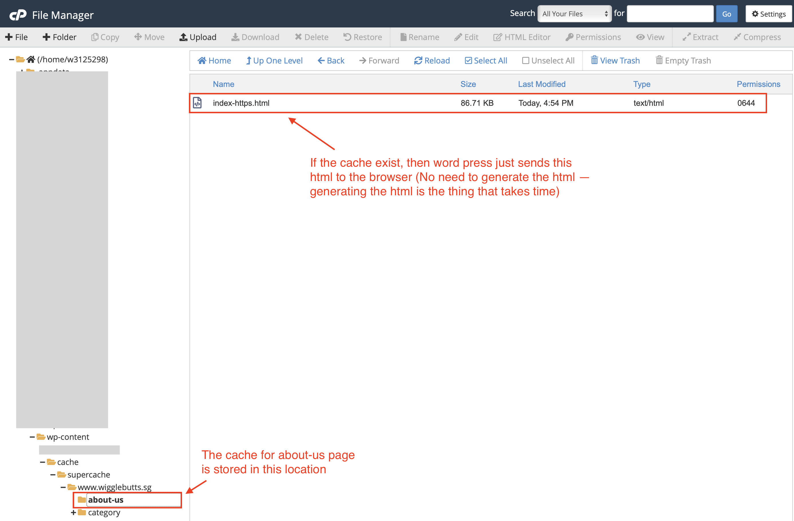 Location where the cache file is stored, normally in wp-content/cache directory