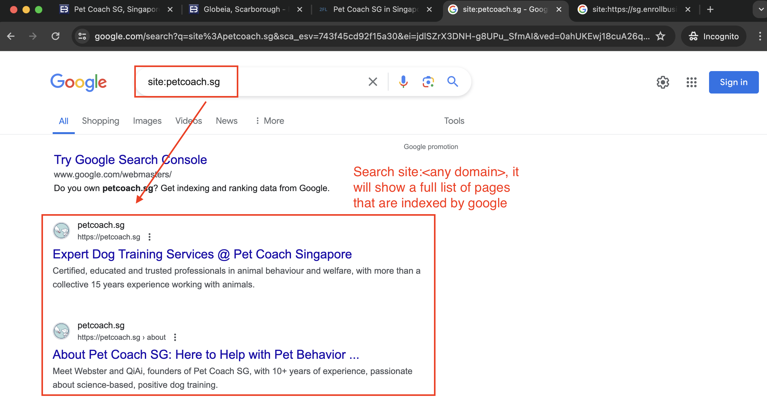 Google Site Search for petcoach.sg shows list of indexed pages by google