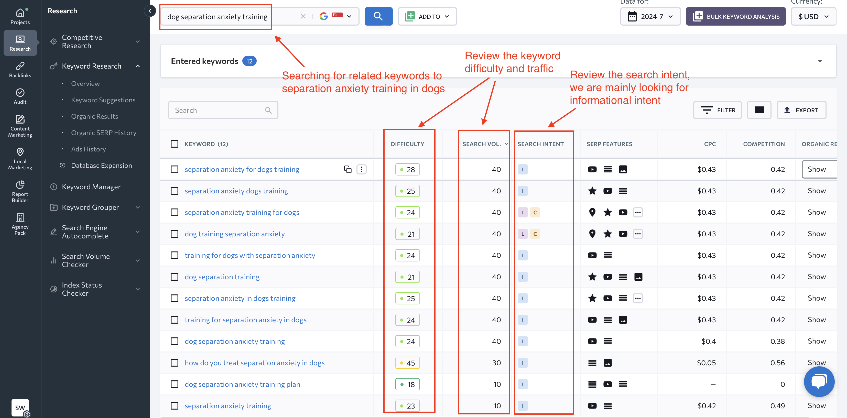 image showing SE ranking search results