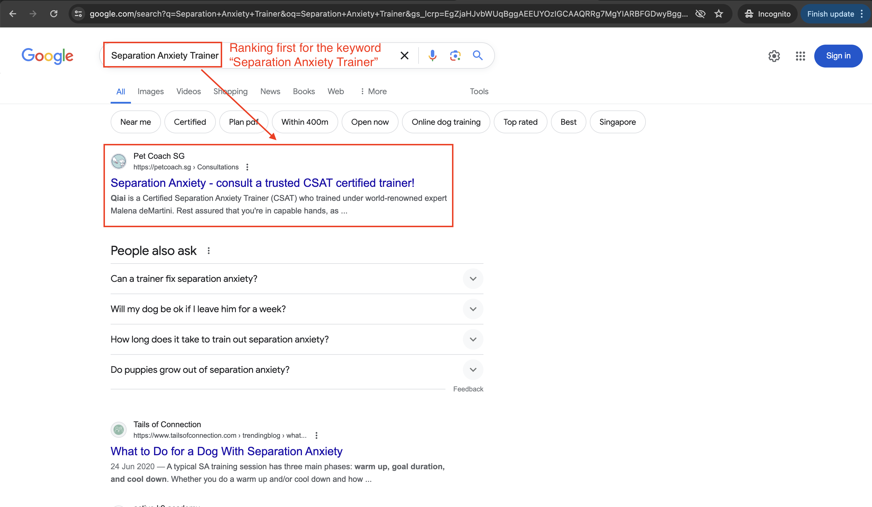 Google search for "Separation Anxiety Trainer" listing our website as the first result