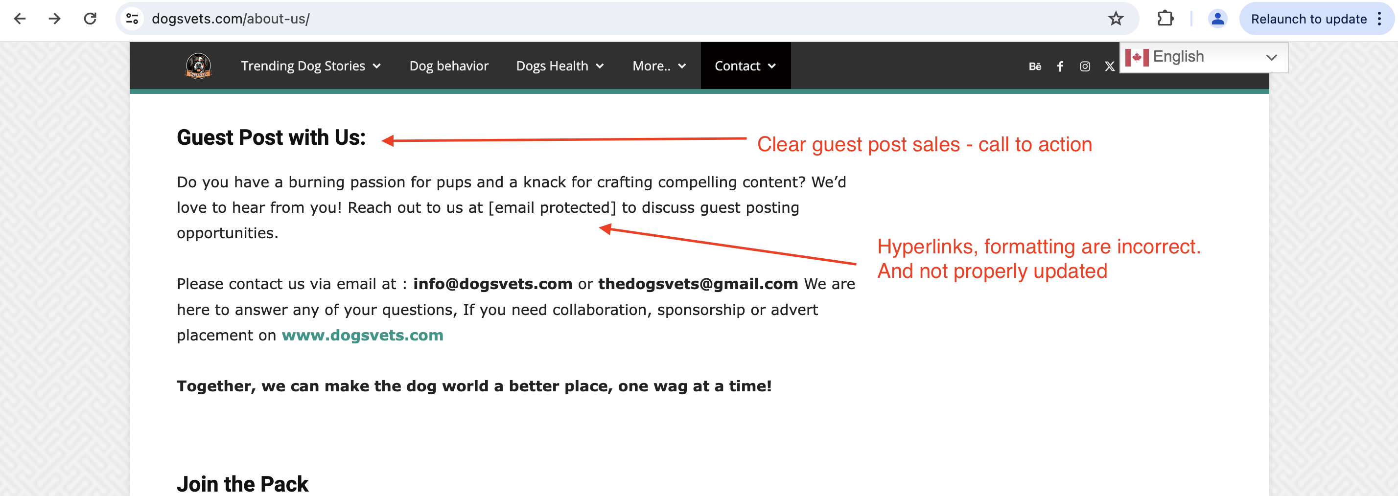dogsvets clear guest post sales and broken links