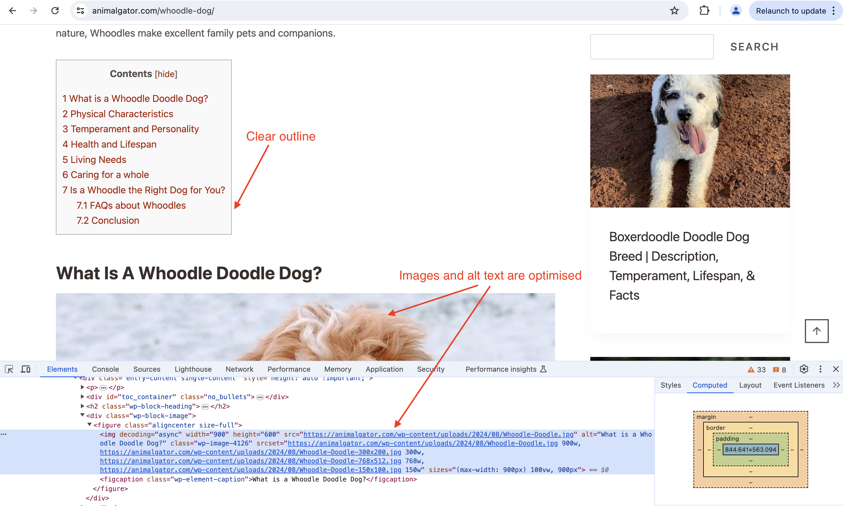 animalgator table of content and optimised image alt text