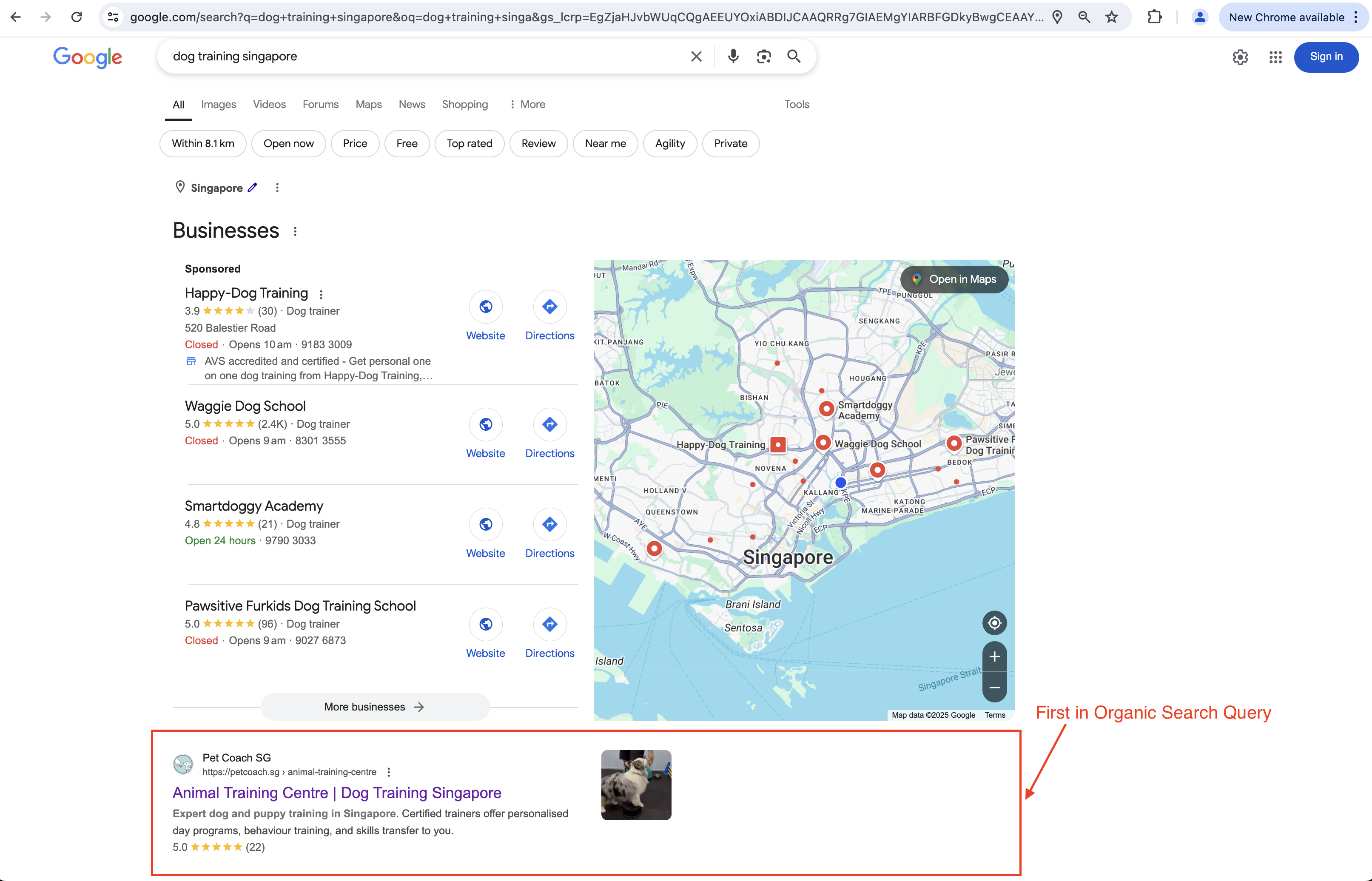 Image of SERP for "Dog Training Singapore" showing Pet Coach SG as the first result in organic