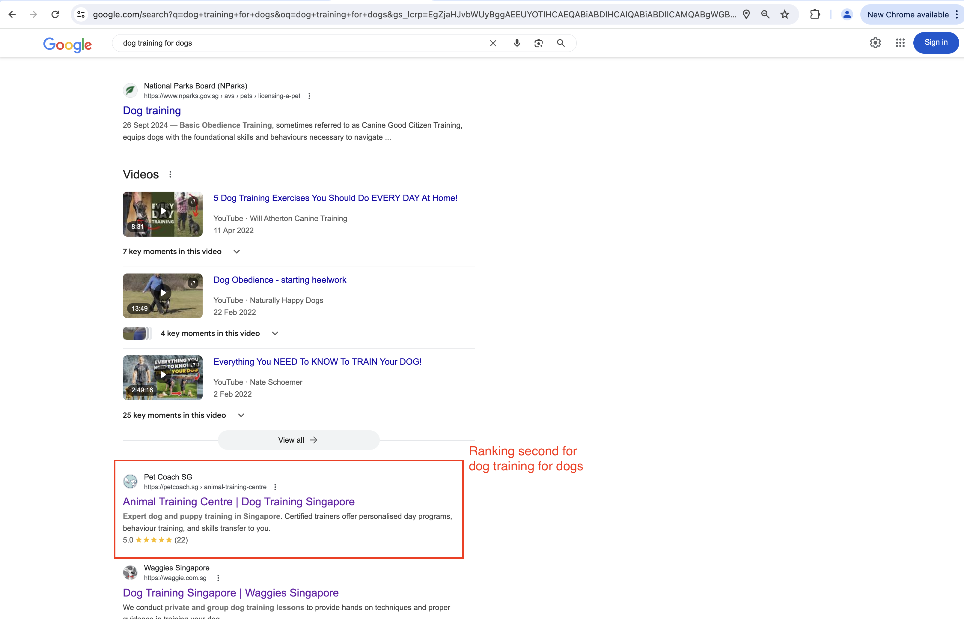 second in the SERp for dog training for dogs keyword