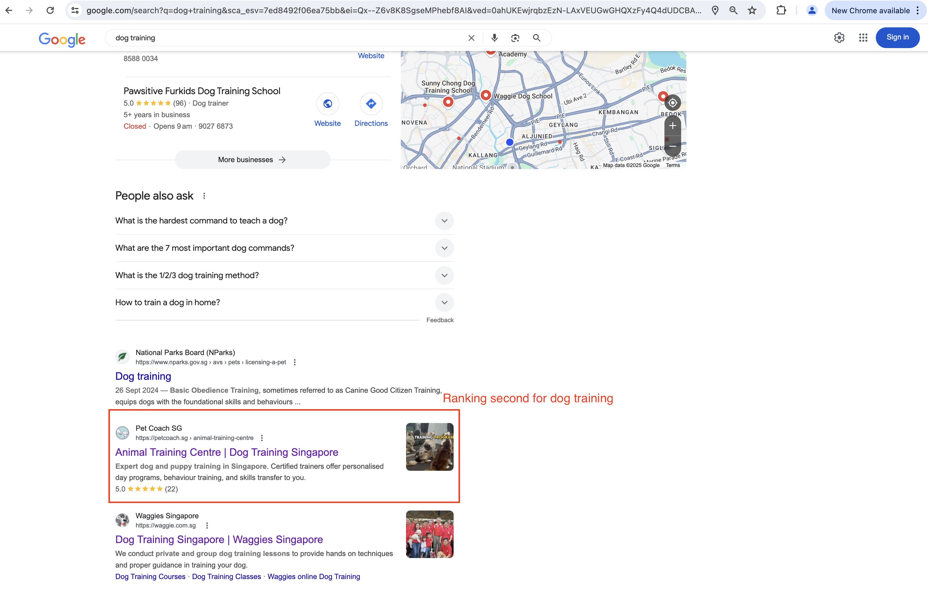 second in the SERP result for Dog Training keyword