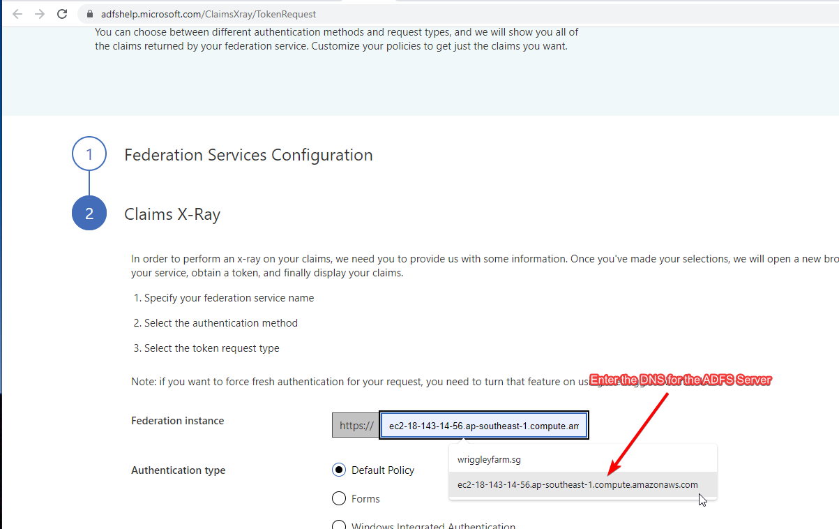 Entering the ADFS server hostname into Claims X-Ray