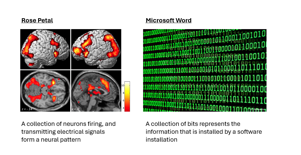 image showing the comparison of a binary string vs neural pattern activation